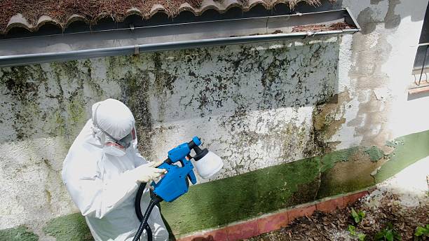 Trusted Commercial Mold Remediation service in Fort Washington, MD - Cheap Mold Removal